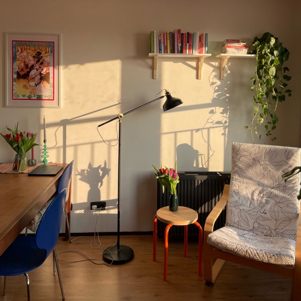 💚🩷🧡🤎 update 💚🩷🧡🤎